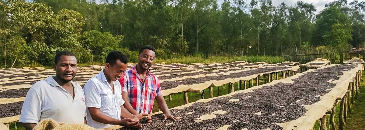 wube shepherd Ethiopian Coffee Germany kaffee äthiopien