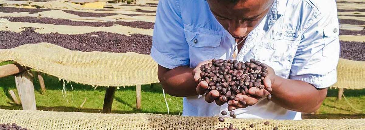 Natural Yirgacheffee Coffee