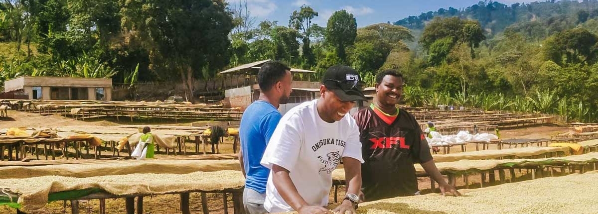 wube shepherd Ethiopian Coffee Germany kaffee äthiopien