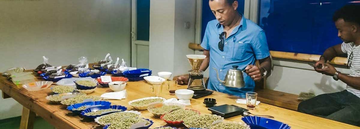 wube shepherd Ethiopian Coffee Germany kaffee äthiopien