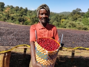 Ethiopian Coffee kaffee äthiopien