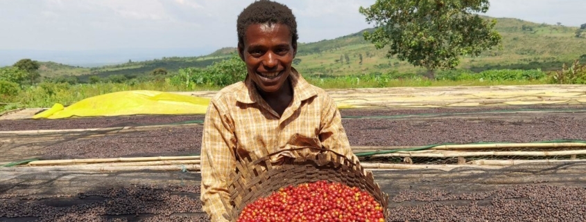 wube shepherd Ethiopian Coffee Germany kaffee äthiopien